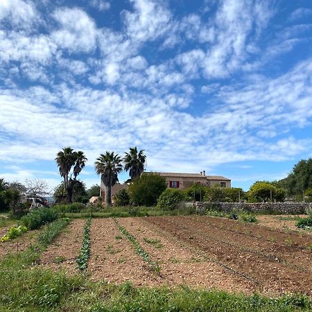Finca Hotel Ses Cases Noves Sant Llorenc Des Cardassar Exterior photo