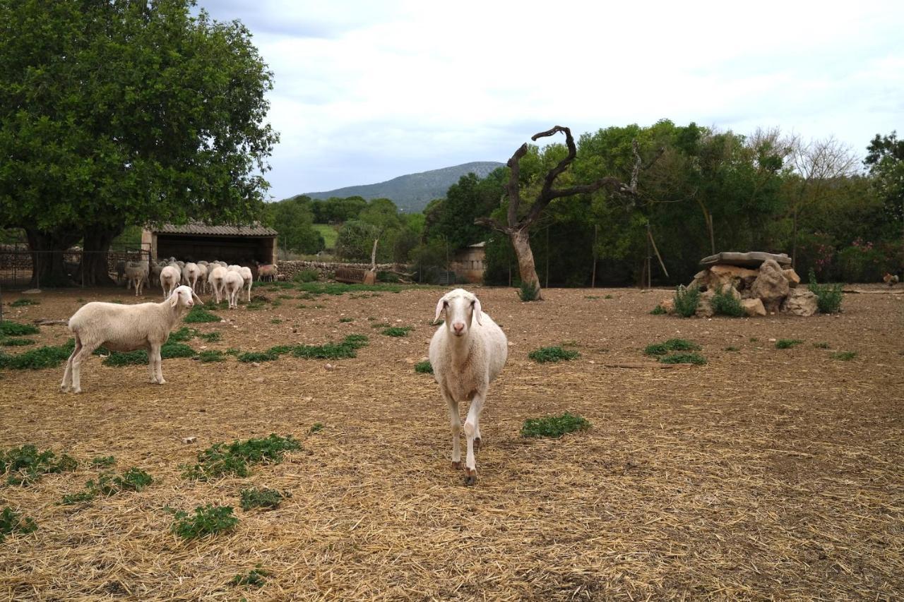 Finca Hotel Ses Cases Noves Sant Llorenc Des Cardassar Exterior photo