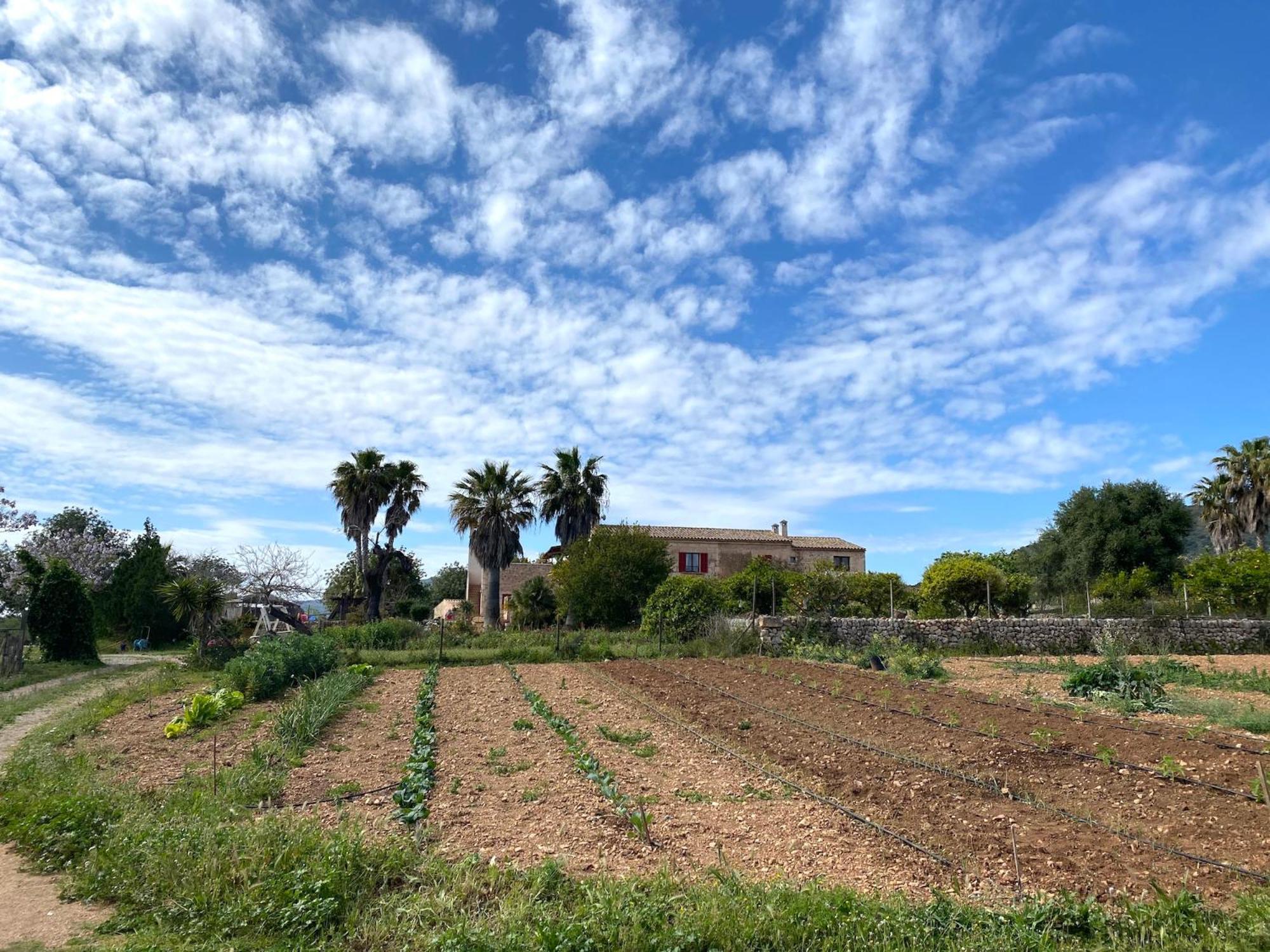 Finca Hotel Ses Cases Noves Sant Llorenc Des Cardassar Exterior photo